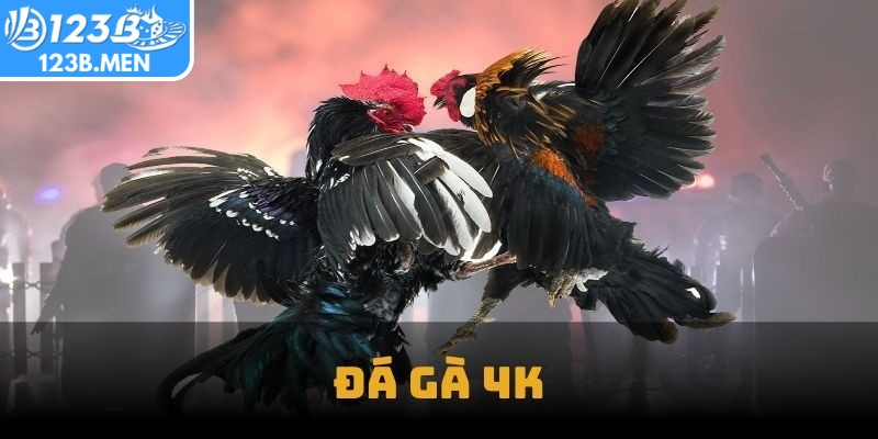 Đá gà 4K 123B là hình thức theo dõi trận đấu trực tiếp với chất lượng 4K