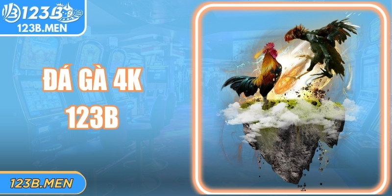 Đá Gà 4K 123B – Trận Đấu Sống Động, Kèo Cược Chính Xác