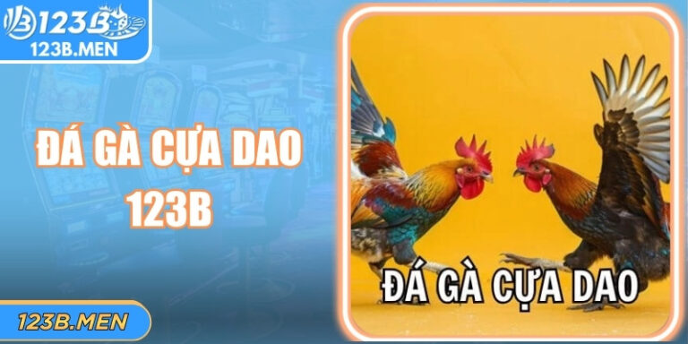 Đá Gà Cựa Dao 123B: Đấu Trường Sinh Tử Nghẹt Thở Từng Giây