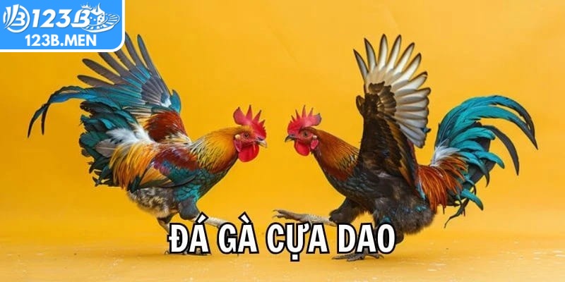 Đá gà cựa dao 123B với nhịp độ thi đấu nhanh và kịch tính