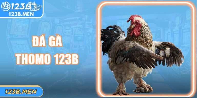 Đá Gà Thomo 123B: Đấu Trường Trực Tiếp Sôi Động Nhất 2026