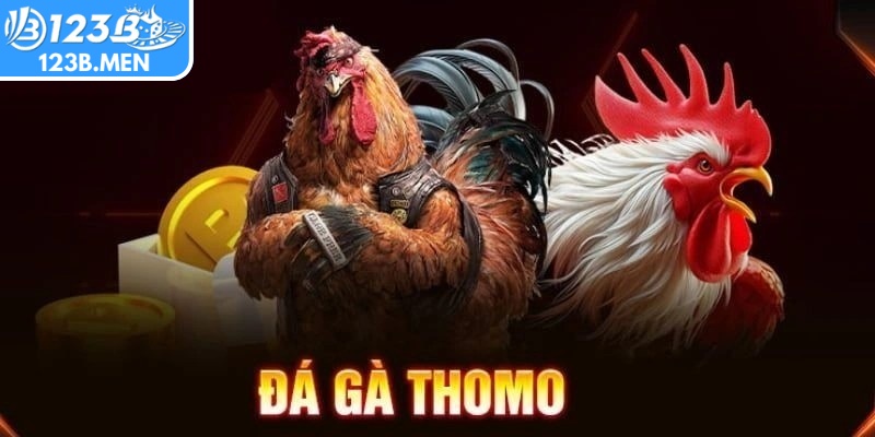 Đá gà Thomo 123B mang đến sân chơi chuyên nghiệp, minh bạch và sôi động