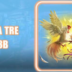 Đá Gà Tre 123B: Đấu Trường Tốc Độ & Nghệ Thuật Chinh Phục