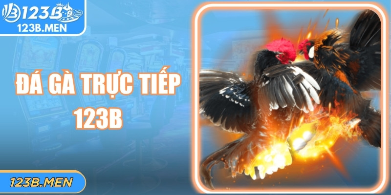Đá Gà Trực Tiếp 123B – Trải Nghiệm Cược Online Hấp Dẫn